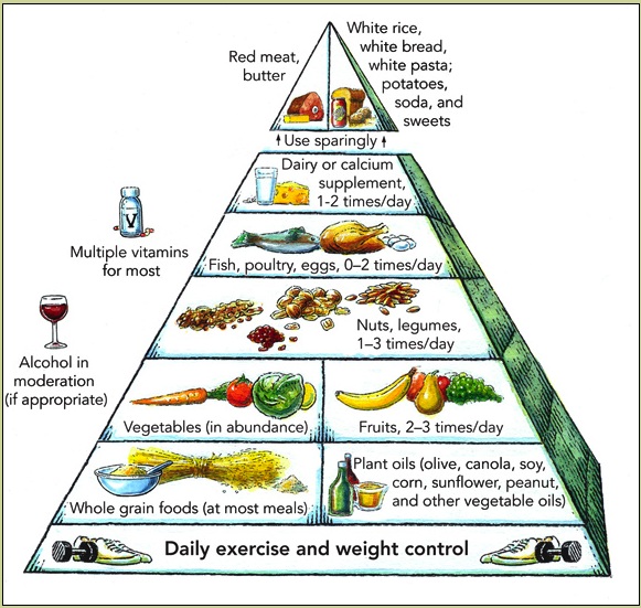 food pyramid