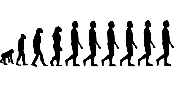 Evolution