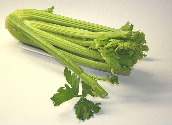 Celery