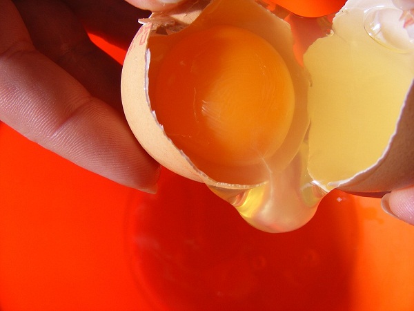 egg yolk