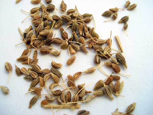Anise Seeds