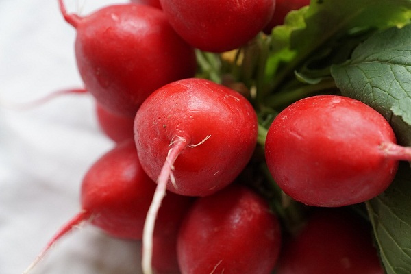 Radishes