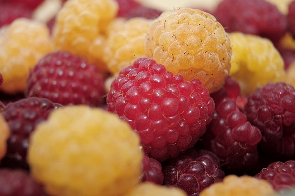 raspberries