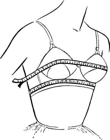 measuring your bra size