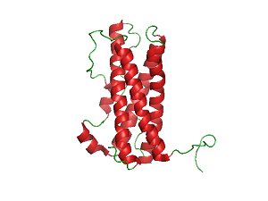 Prolactin